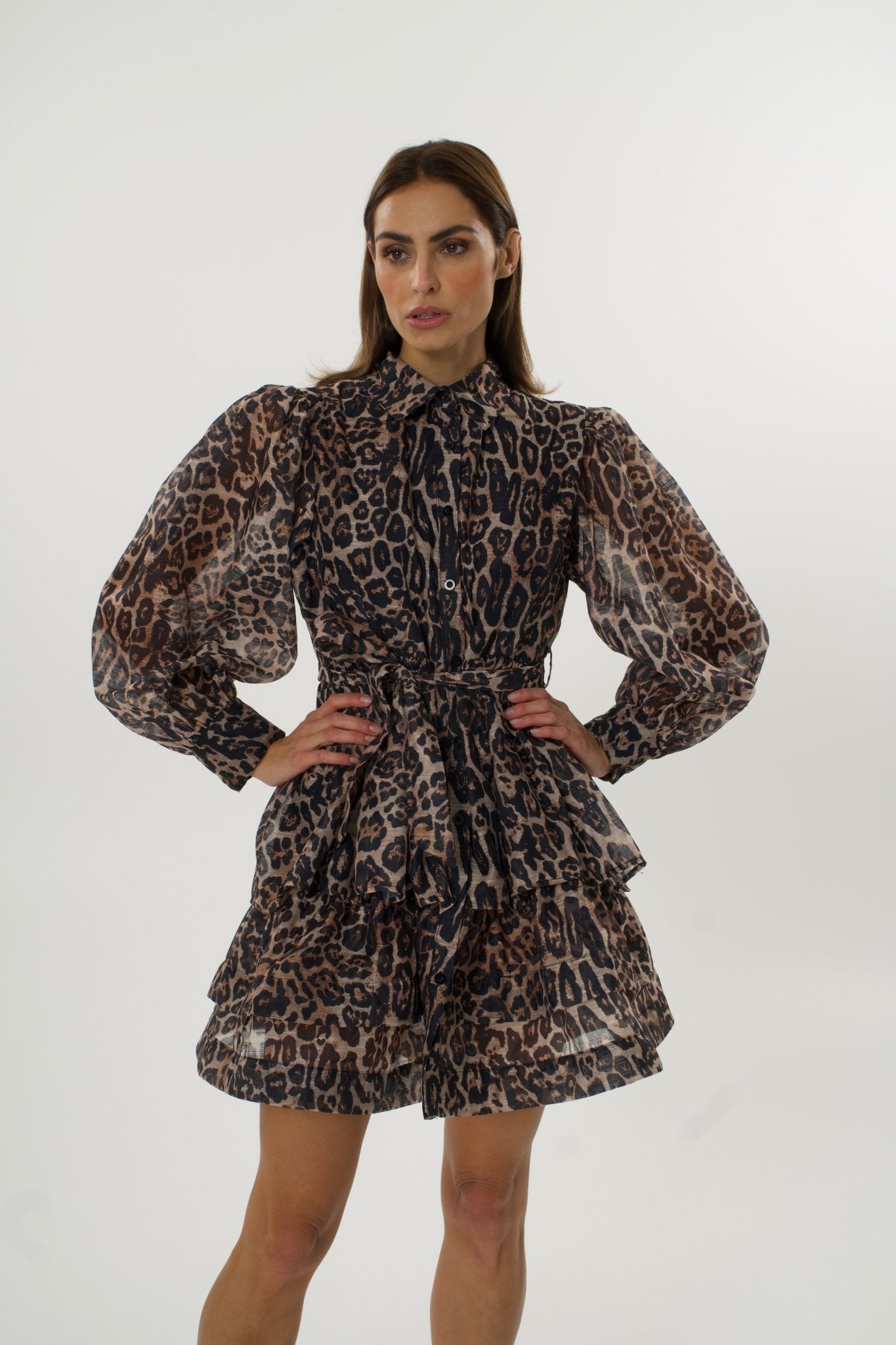 Siena Dress – Wild Elegance